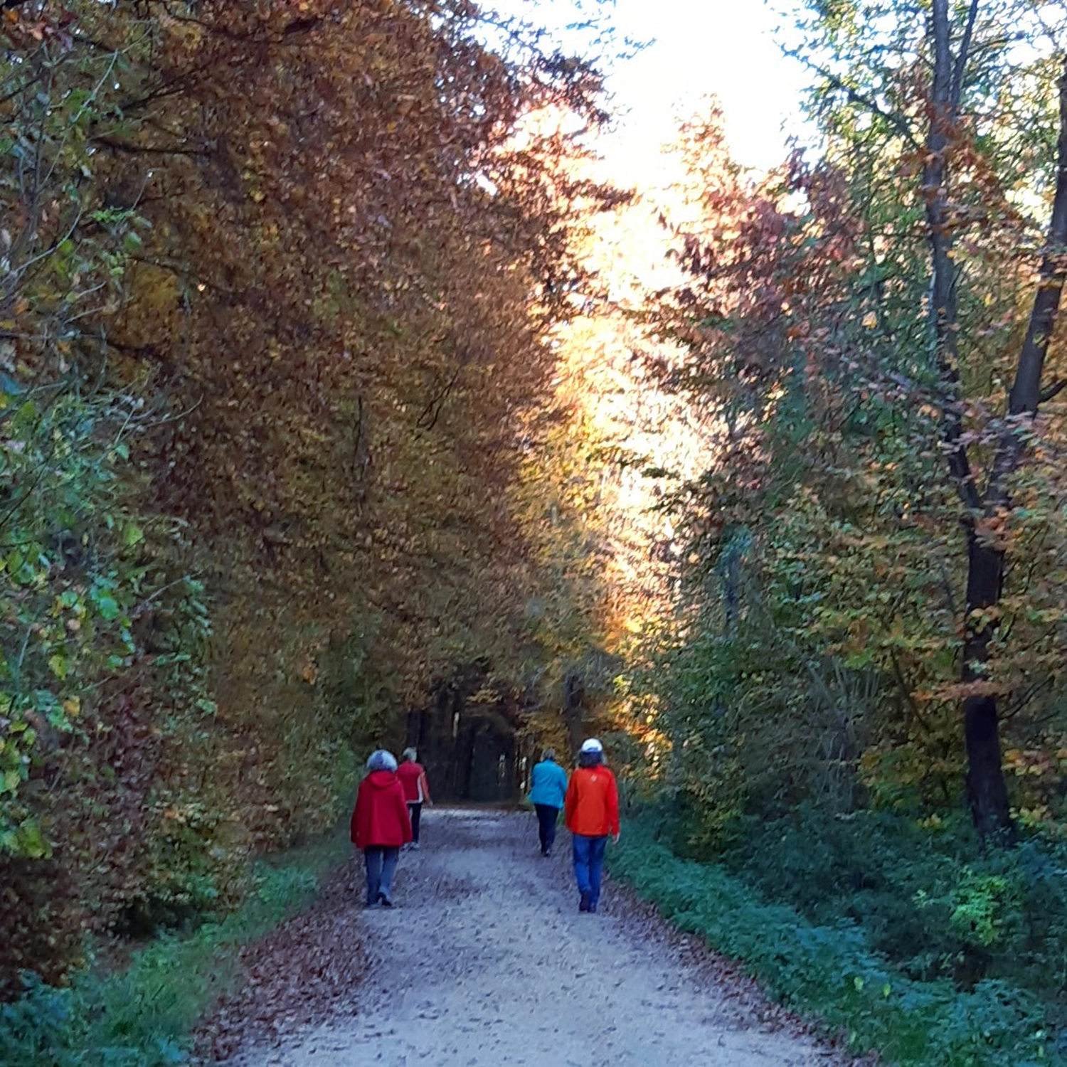 Lachscheune – Persönlichkeitsentwicklung/Entspannung – Menschen im Wald