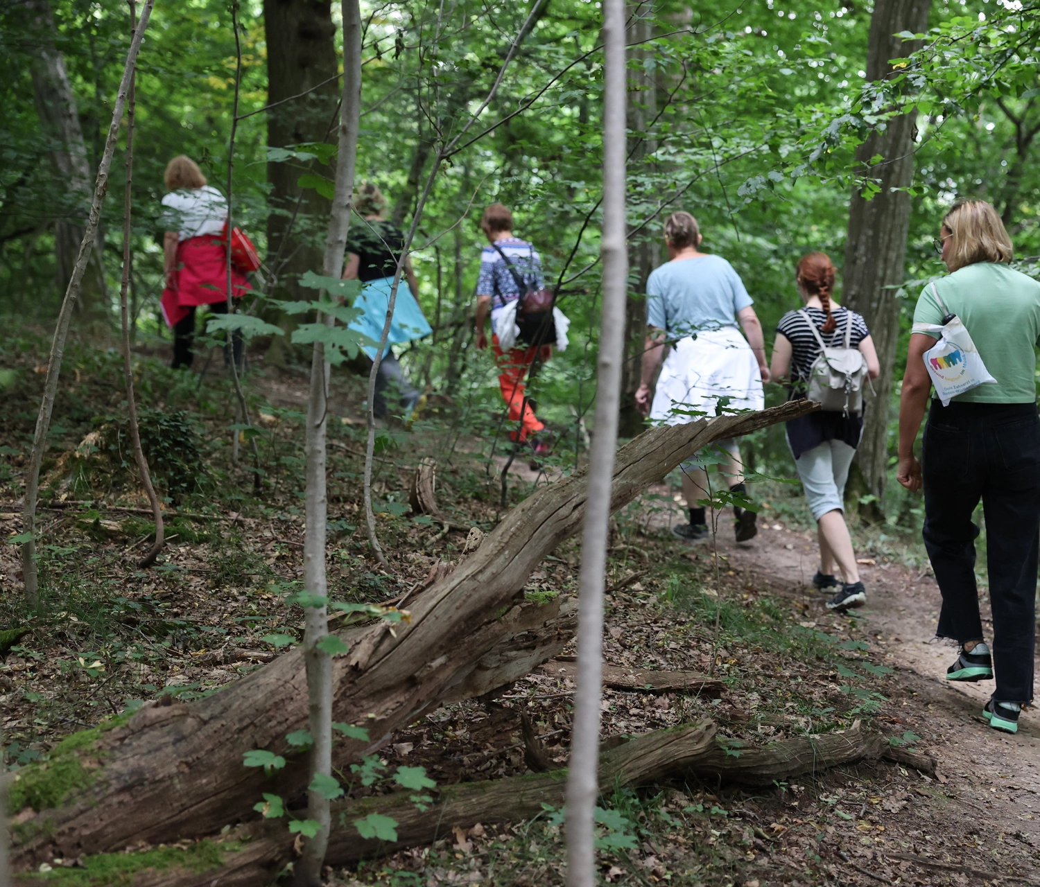 Lachscheune – Persönlichkeitsentwicklung/Entspannung – Menschen, die im Wald spazieren gehen